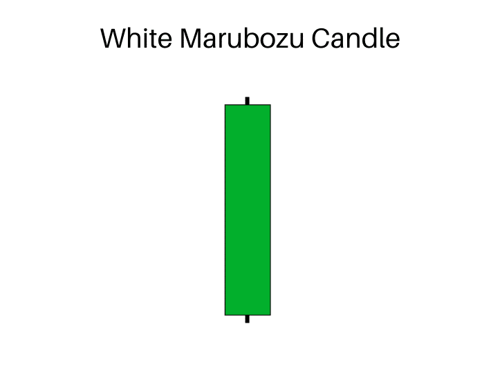 white marubozu candle
